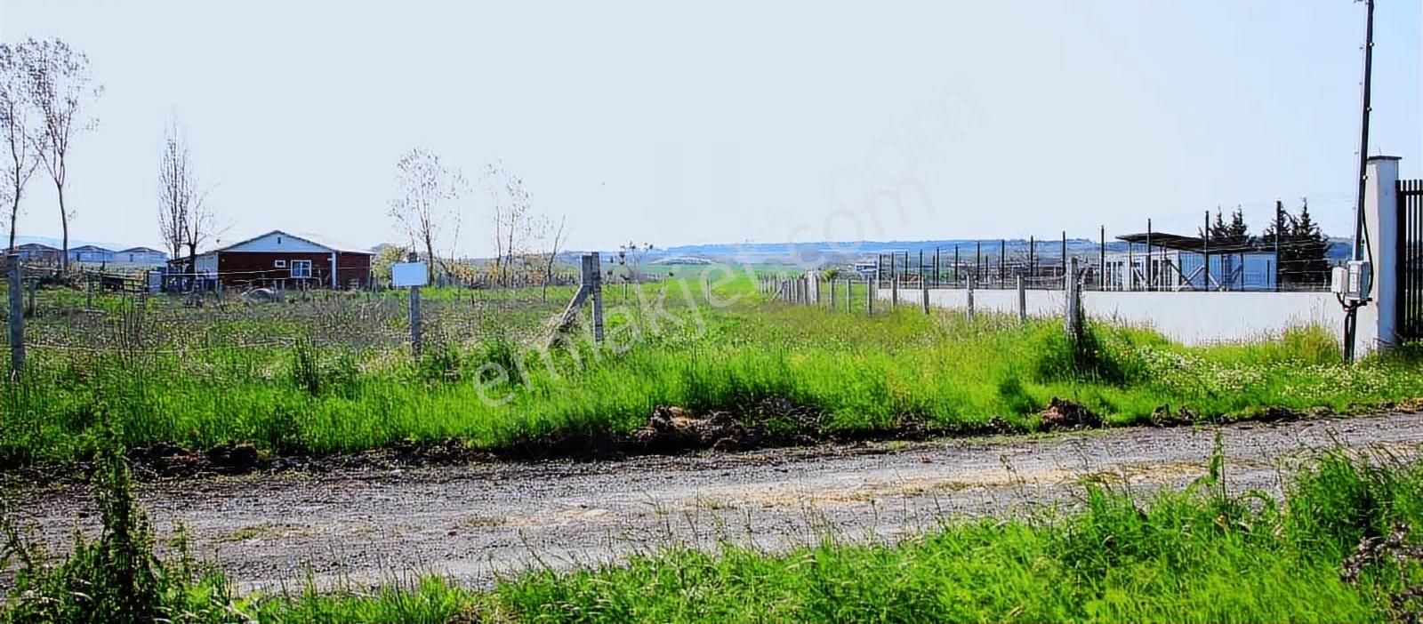 Köy Merkezi Dibinde 980 M2 Satılık Arsa