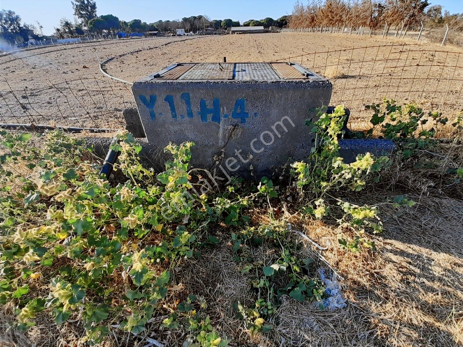 Dikili Bahçeli Mahallesinde 9 Dönüm Satılık Tarla - Görsel 7