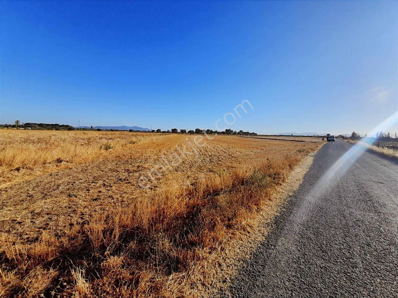 Dikili Bahçeli Mahallesinde 9 Dönüm Satılık Tarla - Görsel 8