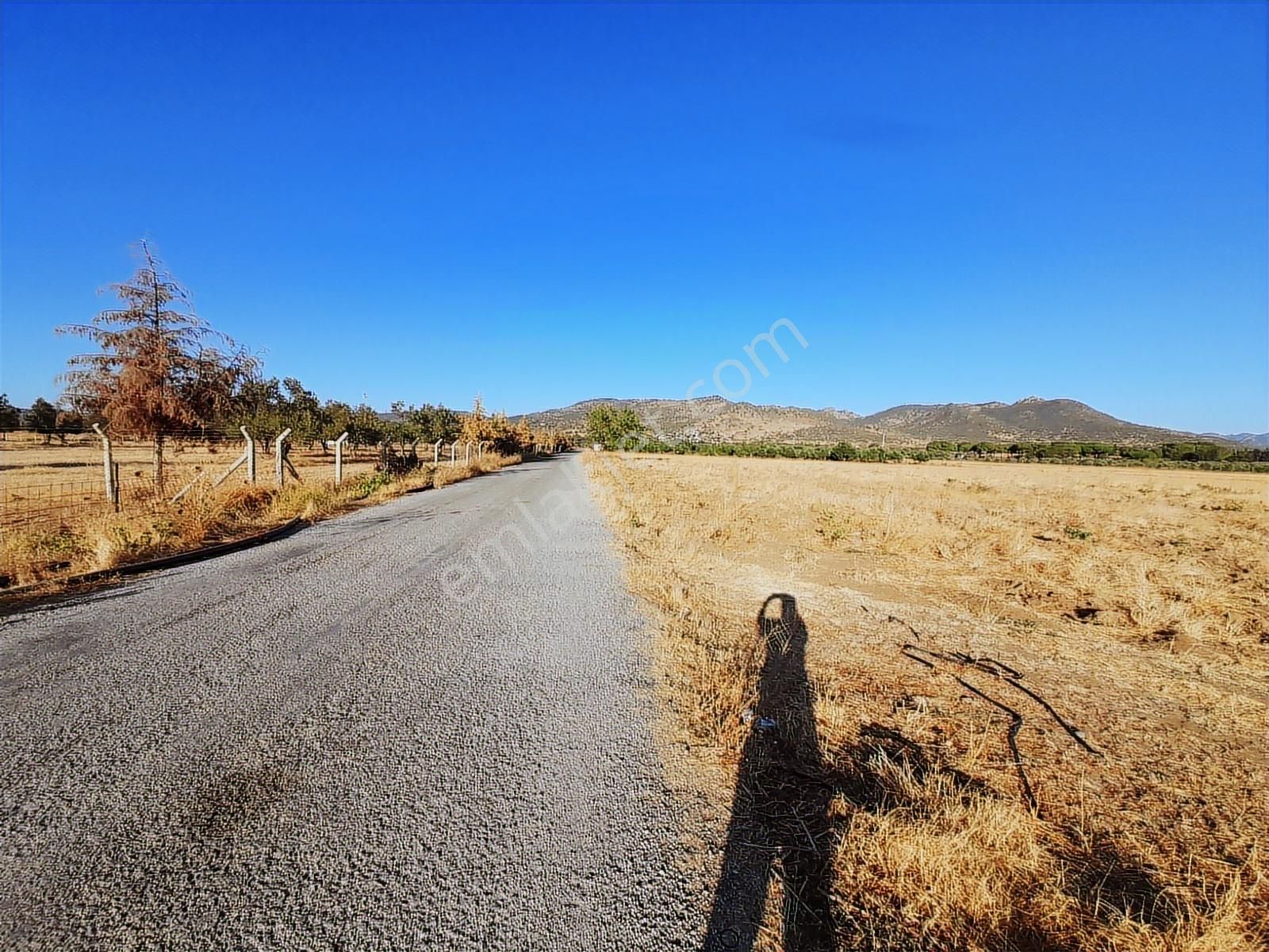 Dikili Bahçeli Mahallesinde 9 Dönüm Satılık Tarla - Görsel 5