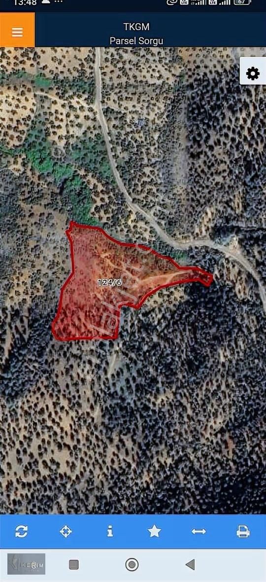 Kerim'den Kuyualan'da Satılık 15582 M2 Yatırımlık Zeytinlik - Görsel 15