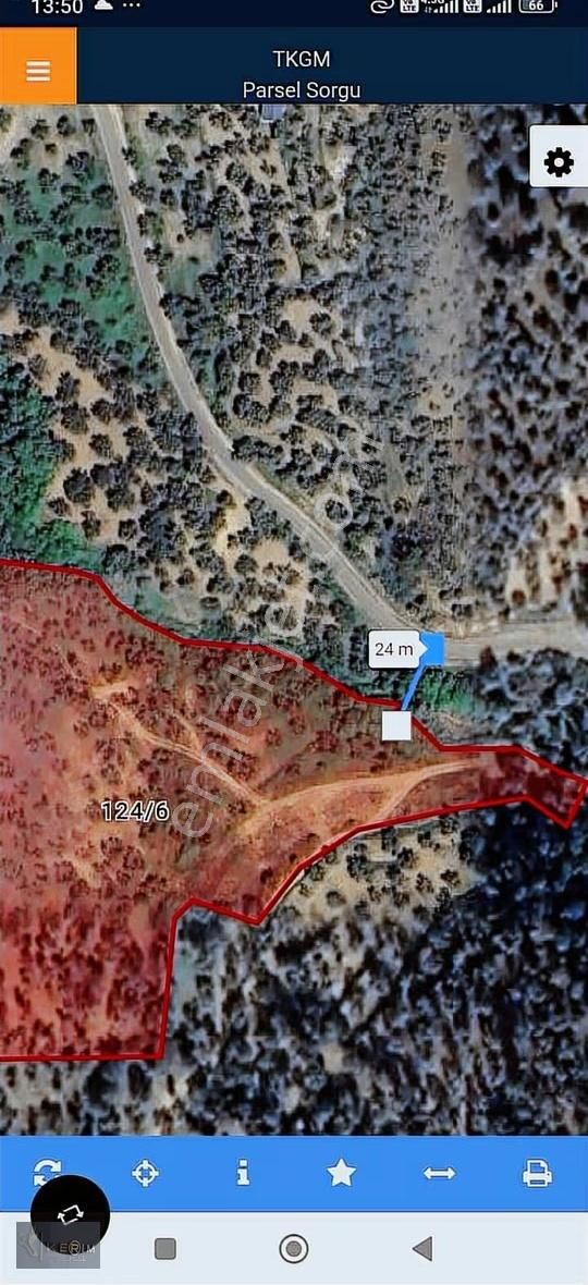 Kerim'den Kuyualan'da Satılık 15582 M2 Yatırımlık Zeytinlik - Görsel 7