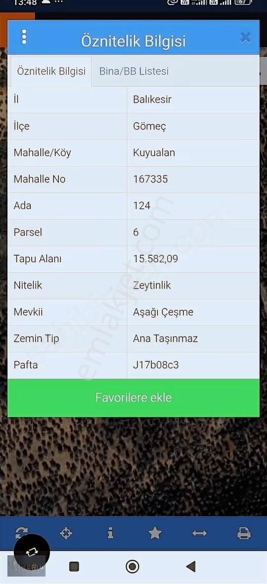 Kerim'den Kuyualan'da Satılık 15582 M2 Yatırımlık Zeytinlik - Görsel 14