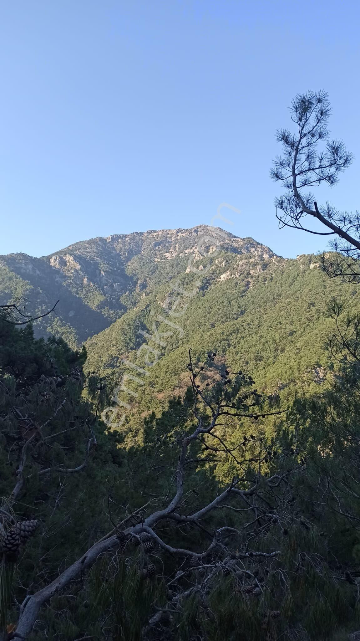 Kuşadası Davutlar’da Eşyalı Satılık Sıfır Yapım 2+1 Daire - Görsel 43