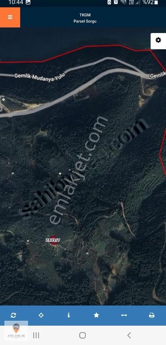 Anıl Emlak Tan Mudanya Altıntaşta 735 M2 Müstakil Tapu Zeytinlik - Görsel 5