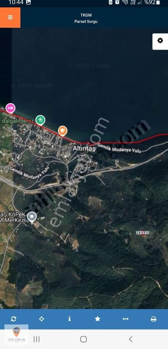 Anıl Emlak Tan Mudanya Altıntaşta 735 M2 Müstakil Tapu Zeytinlik - Görsel 4