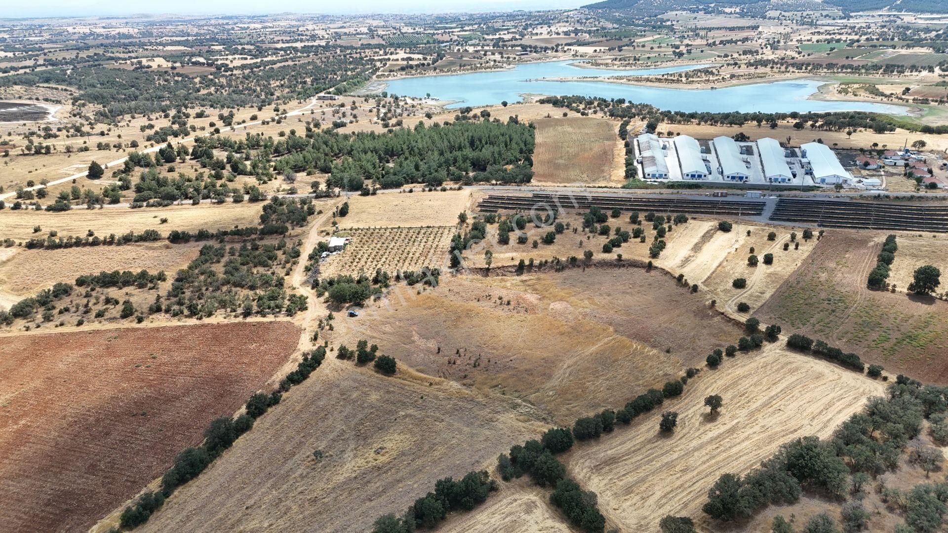 Uşak / Eşme / Kıranköy Mahallesinde 2.050 M² Müstakil Tapulu Tarla - Görsel 3