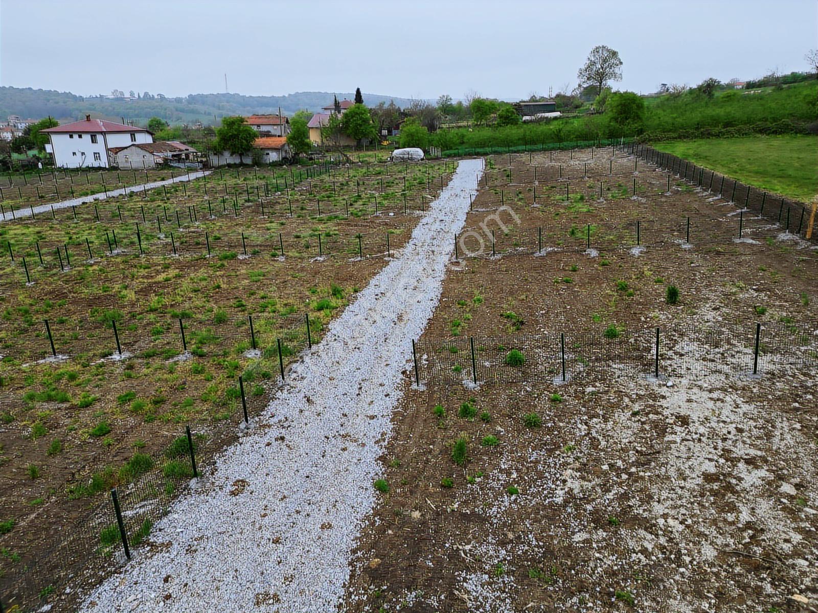 Kaynarca İşaret Köyünde Konut İmarlı Arsalar - Görsel 7