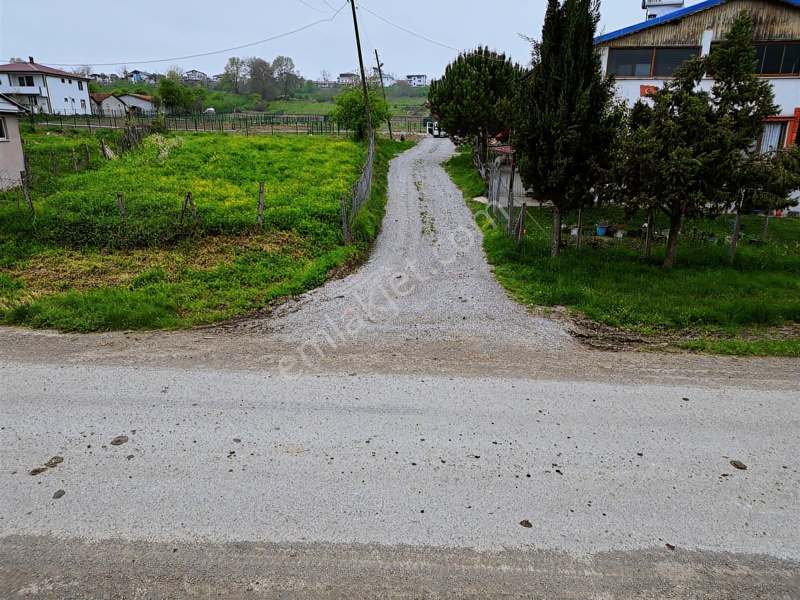 Kaynarca İşaret Köyünde Konut İmarlı Arsalar - Görsel 30