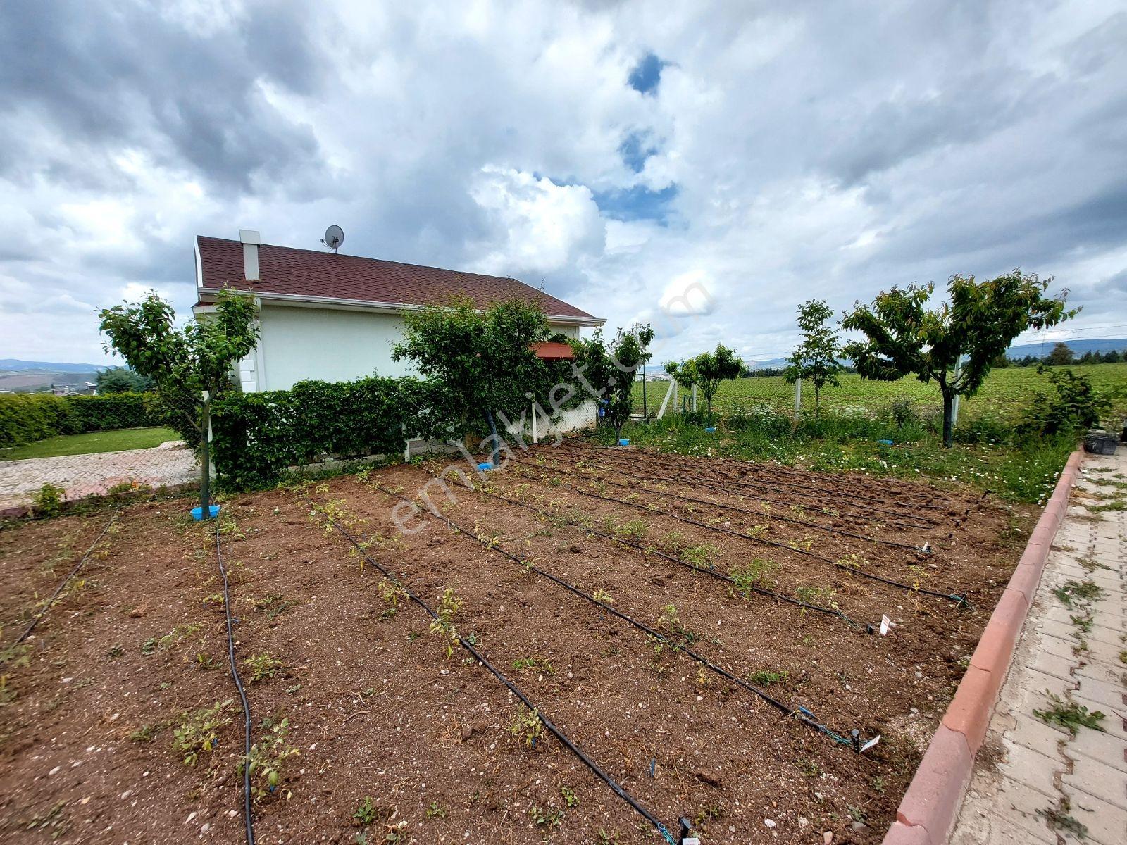 Tanrıverdi'den Satılık Günbaşında Hobi Bahçesi 430m2 - Görsel 17