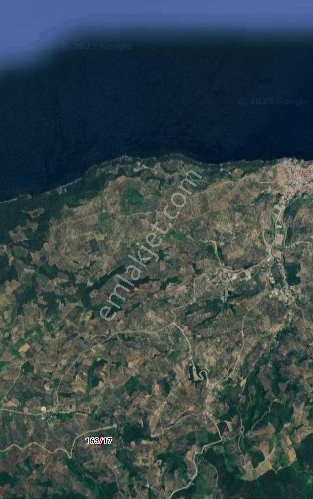 Talatbey Zeytinlik 5183 M2 Satılık Aysun Yavuz'dan - Görsel 3