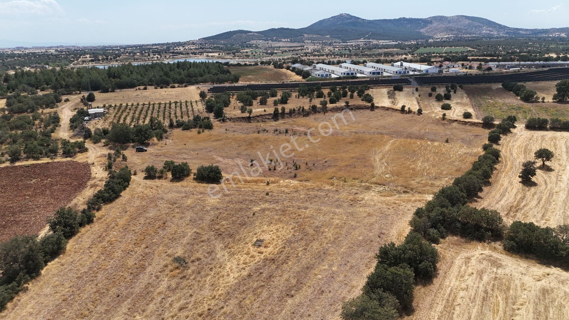 Uşak / Eşme / Kıranköy Mahallesinde 2.750 M² Müstakil Tapulu Tarla