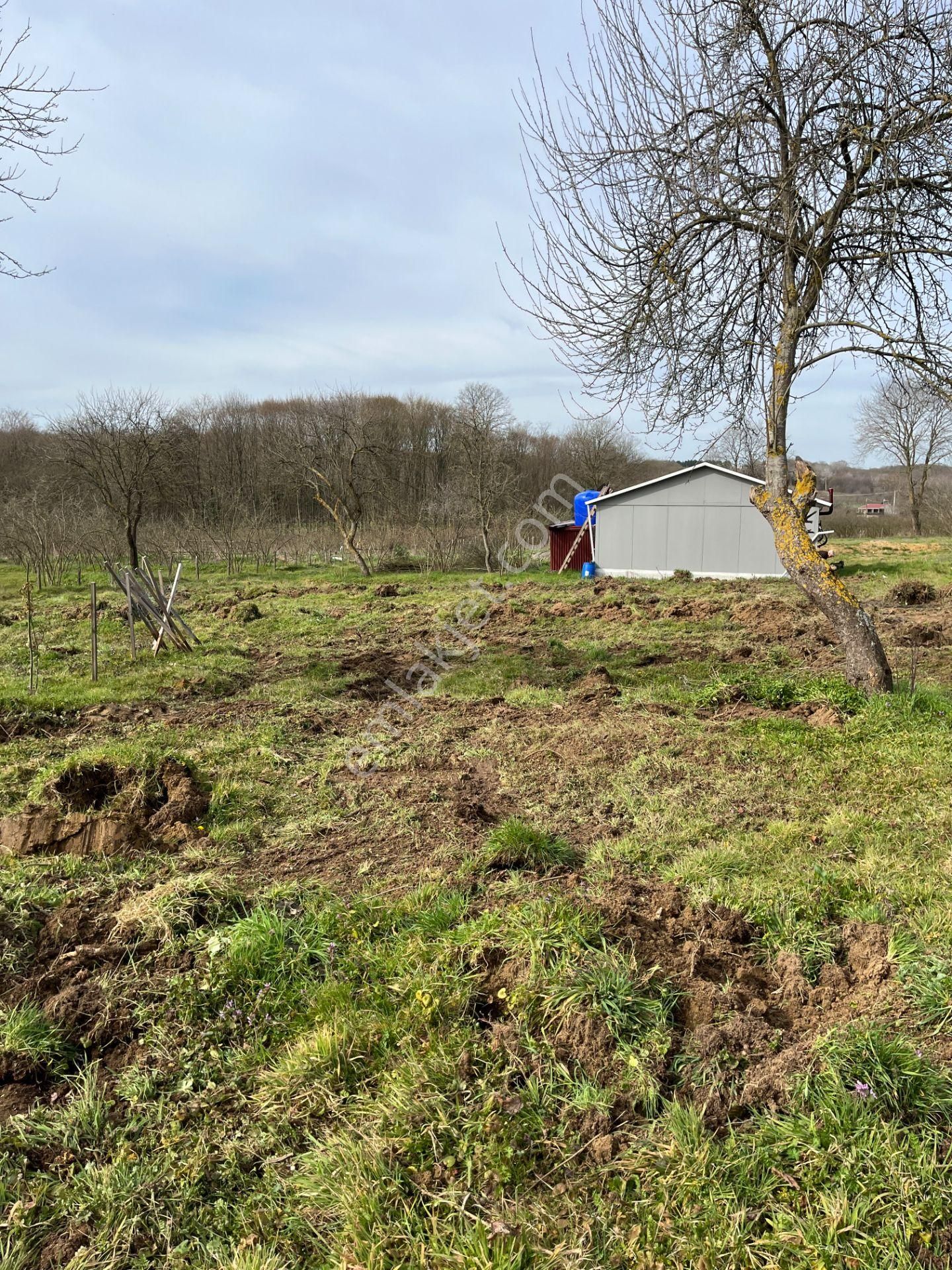 Kandıra Pınardüzü'nde 500 M² 2b Arsa Bitişik Parsel - Görsel 3