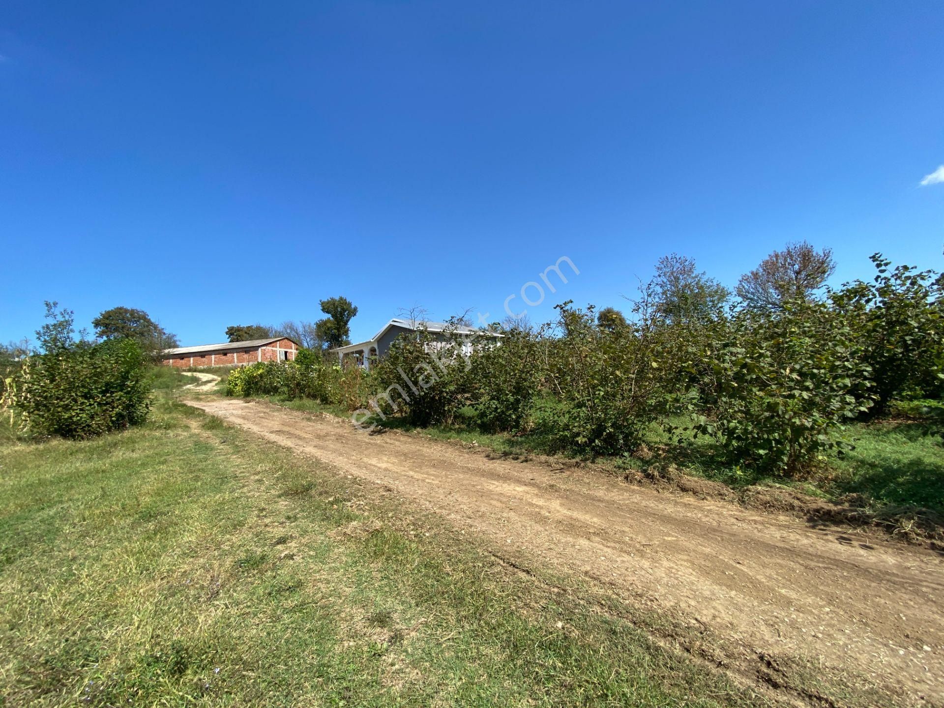 Kandıra Pınardüzü'nde 500 M² 2b Arsa Bitişik Parsel - Görsel 2