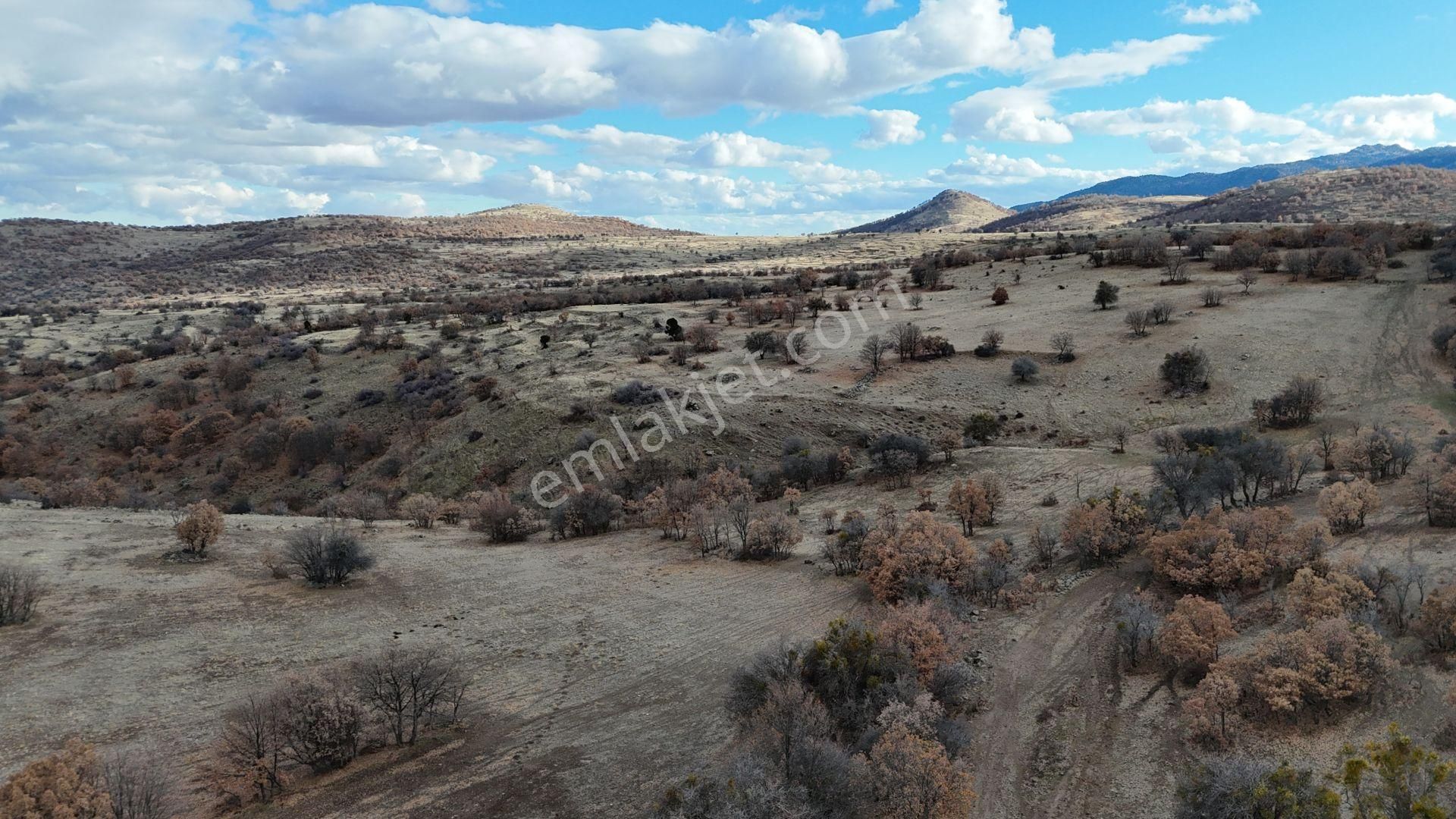 Konya / Meram / Sefaköy Harmancık Mahallesinde 5.000 M² Müstakil Tapulu Tarla - Görsel 3