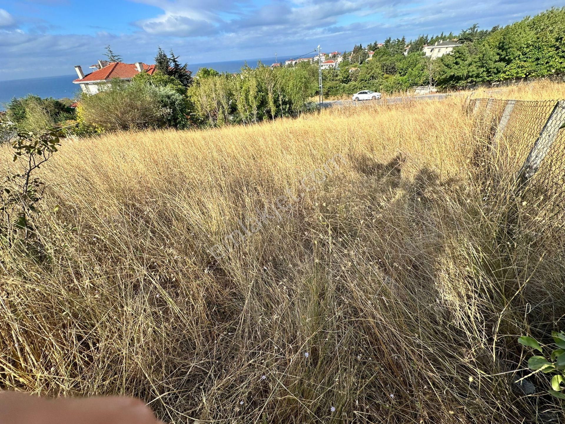 Beylikdüzü Dereağzı Müstakil 669 M²full Deniz Manzaralı Villa Arsası - Görsel 2