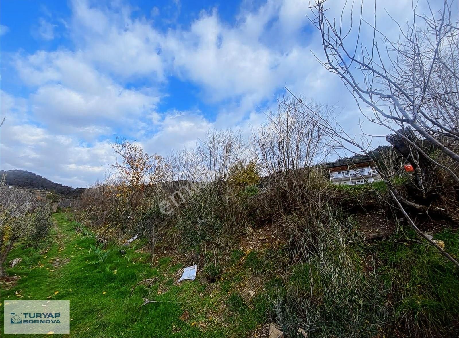 Turyap'tan Karaçam'da Merkezi Konumda Satılık 1513 M2 Tarla - Görsel 17