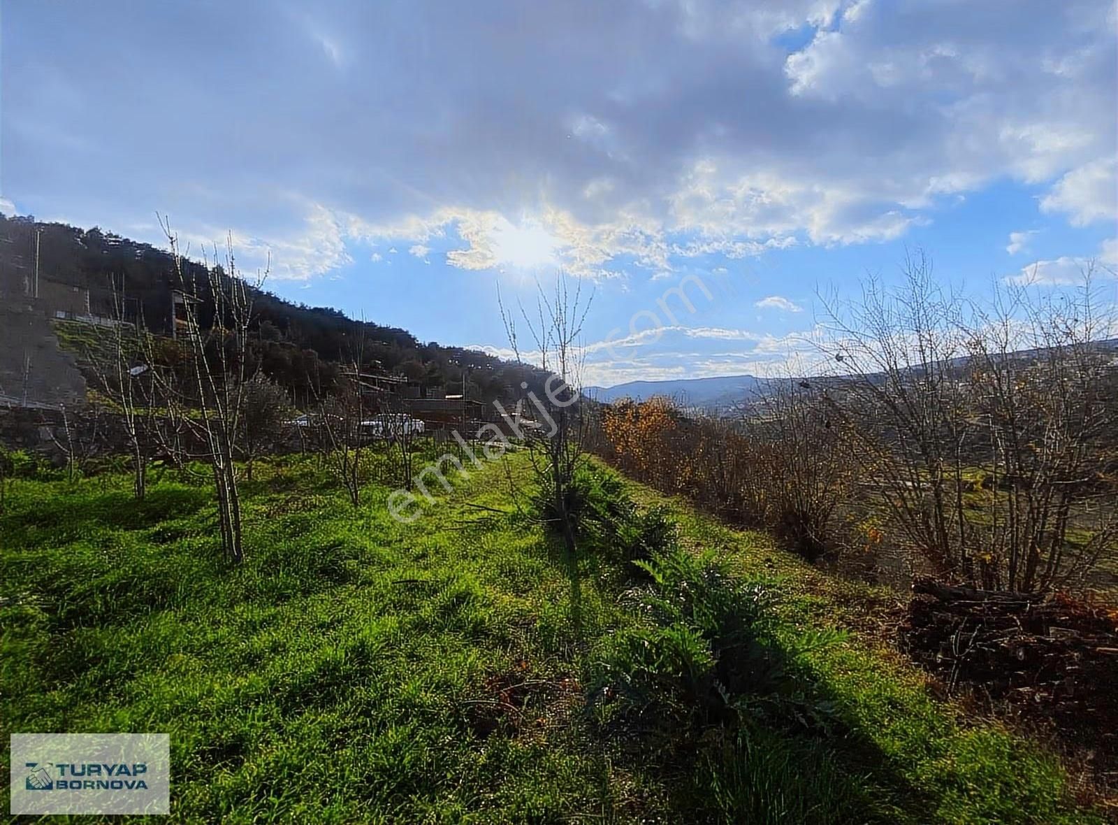 Turyap'tan Karaçam'da Merkezi Konumda Satılık 1513 M2 Tarla - Görsel 27