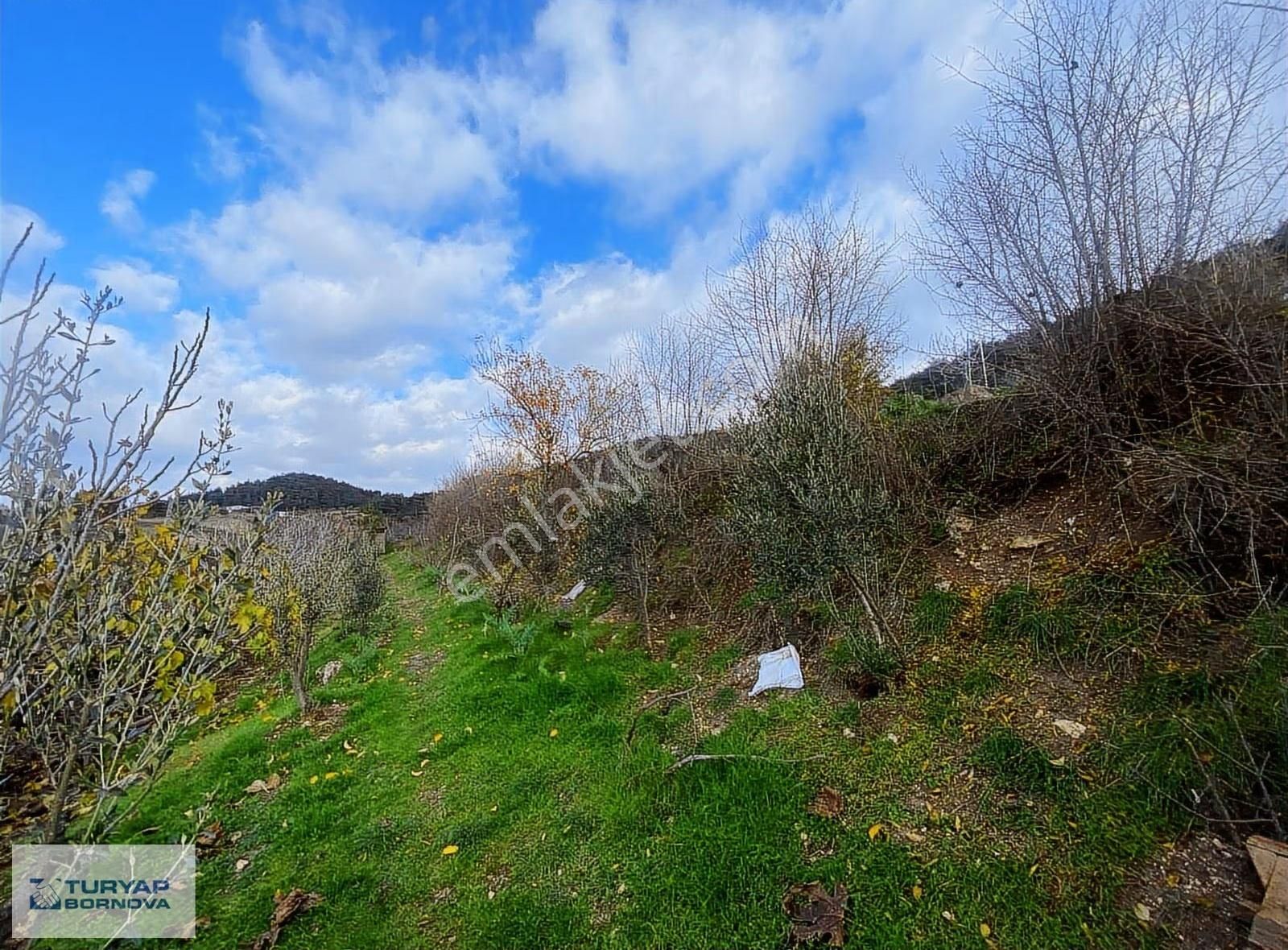 Turyap'tan Karaçam'da Merkezi Konumda Satılık 1513 M2 Tarla - Görsel 10