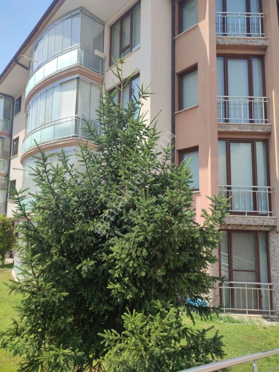 Yeni Mahalle'de Karanfil 2 Sitesinde 230 M2 Kiralık Daire - Görsel 12
