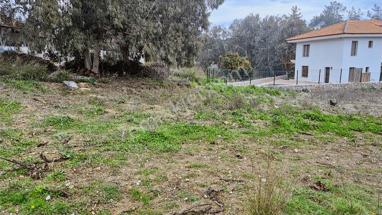 Muğla Ula Ataköy 'de Satılık 920 M2 Konut İmarlı Arsa - Görsel 18