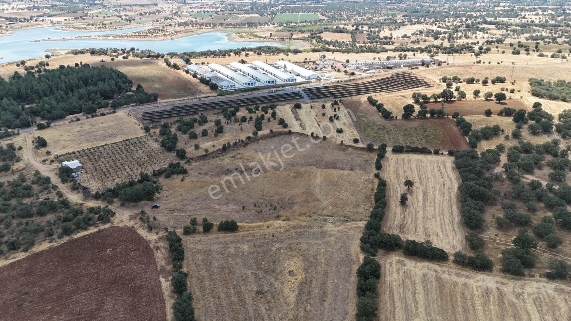 Uşak / Eşme / Kıranköy Mahallesinde 2.200 M² Müstakil Tapulu Tarla - Görsel 2