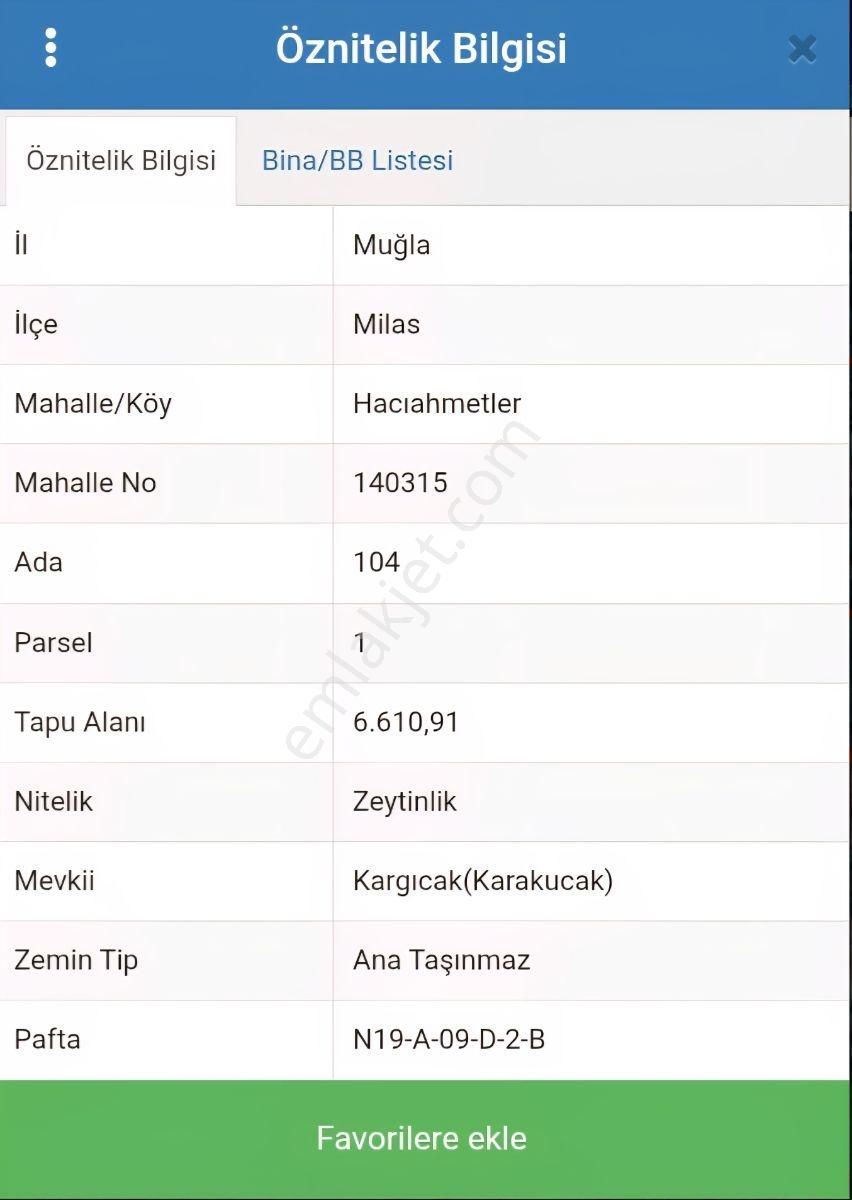 Hemen Hasada Hazır, Masrafsız Ve Yolu Açık 6.611 M2 Zeytinlik - Görsel 4