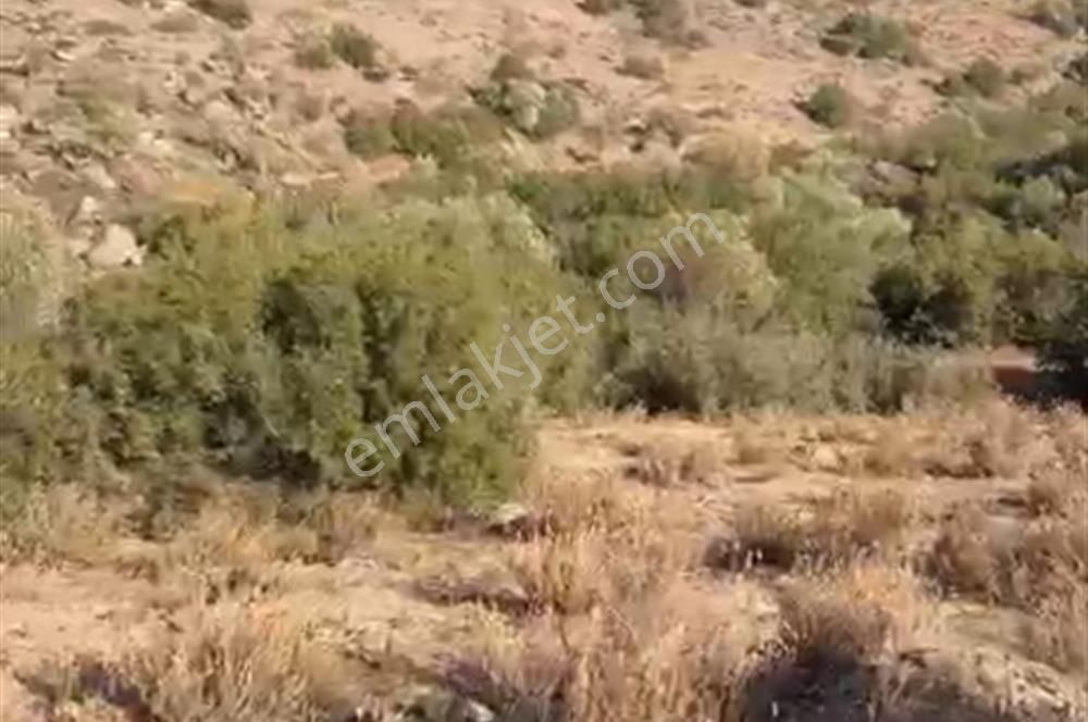 Muğla Yatağan'da 19.944 M2 Tarla - Görsel 5