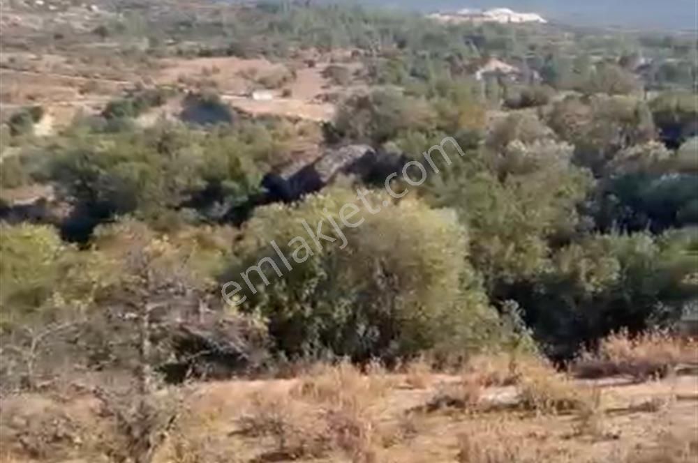 Muğla Yatağan'da 19.944 M2 Tarla - Görsel 6