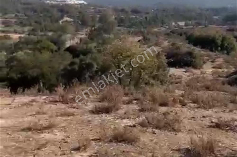 Muğla Yatağan'da 19.944 M2 Tarla - Görsel 3