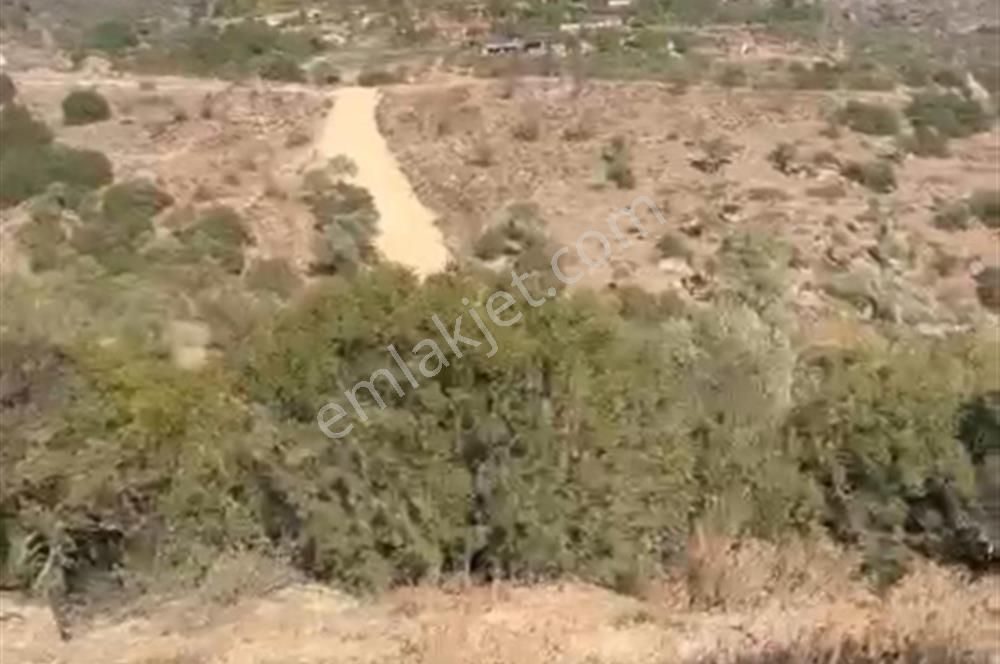 Muğla Yatağan'da 19.944 M2 Tarla - Görsel 4