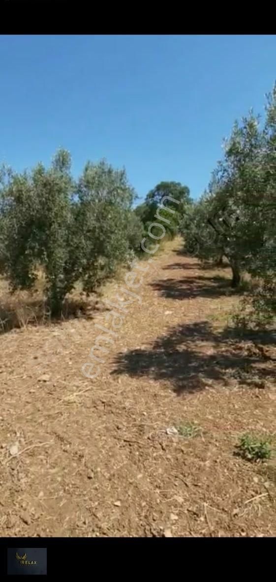 Şirinçavuş Mah 8,264 Metrekare Deniz Manzaralı Satılık Ara - Görsel 30