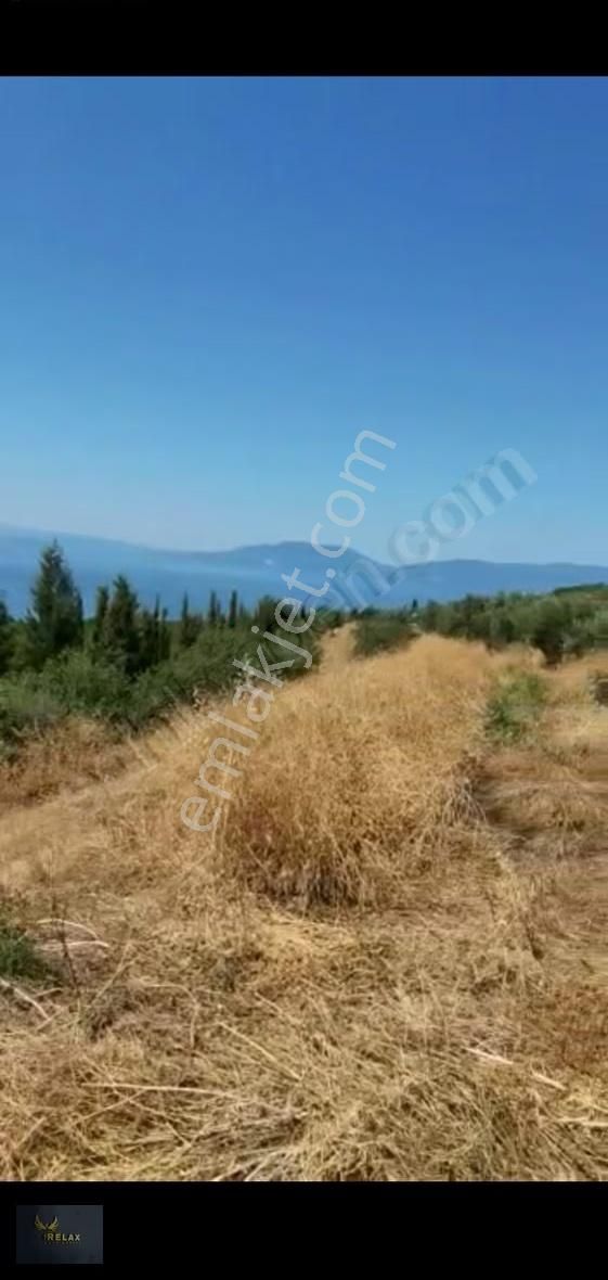 Şirinçavuş Mah 8,264 Metrekare Deniz Manzaralı Satılık Ara - Görsel 25