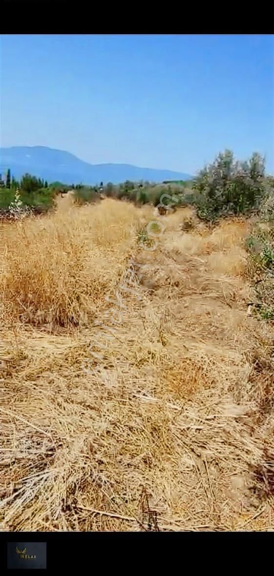 Şirinçavuş Mah 8,264 Metrekare Deniz Manzaralı Satılık Ara - Görsel 16