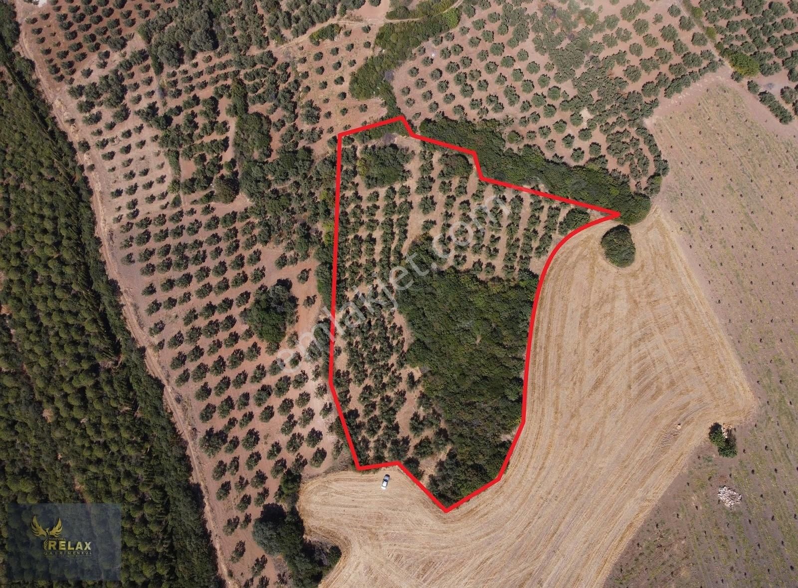 Şirinçavuş Mah 8,264 Metrekare Deniz Manzaralı Satılık Ara - Görsel 5