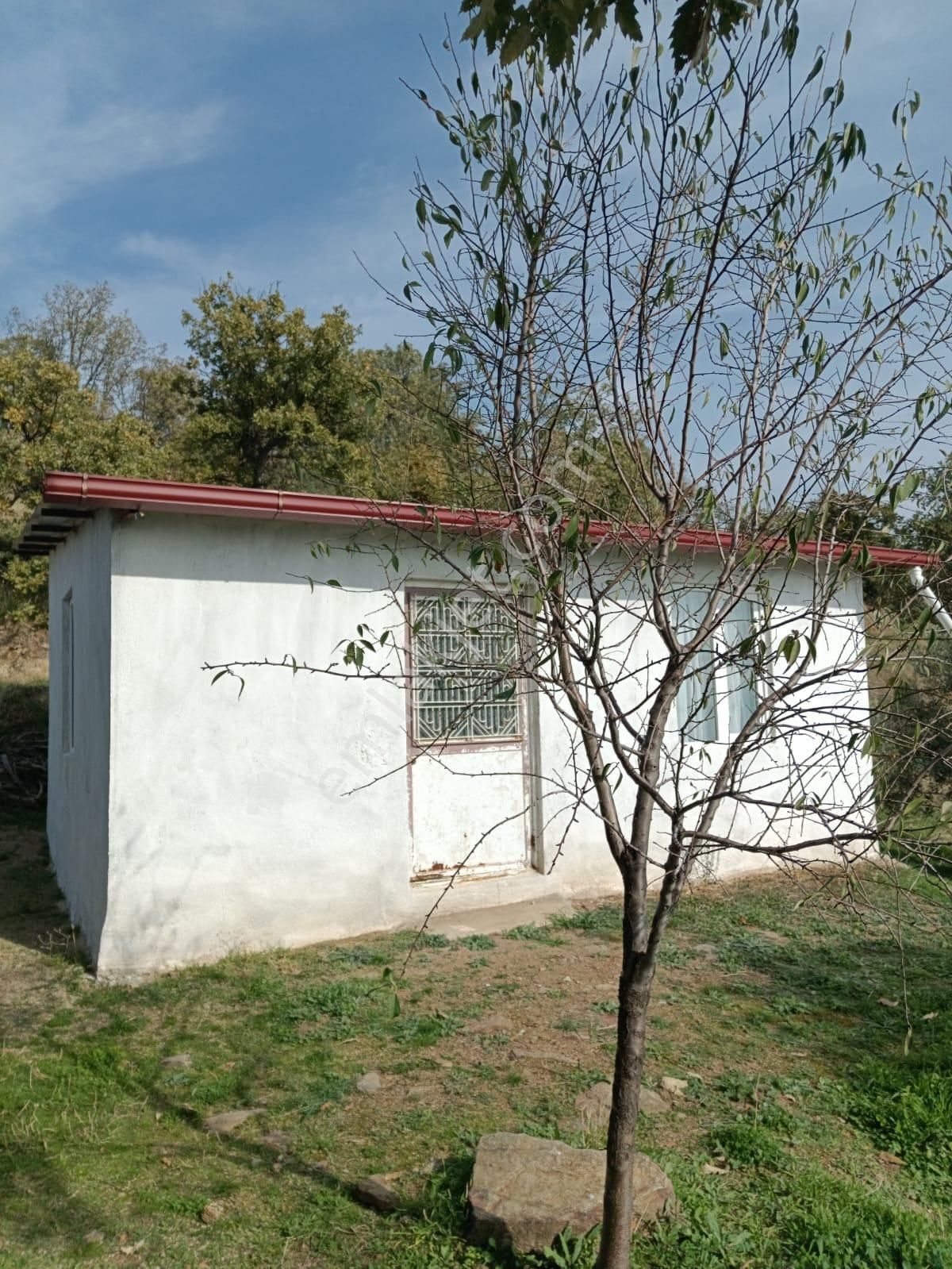 Tetik Emlak’tan Nazilli Bekirler Köyü’nde Satılık İncir & Zeytin Bahçesi - Görsel 12