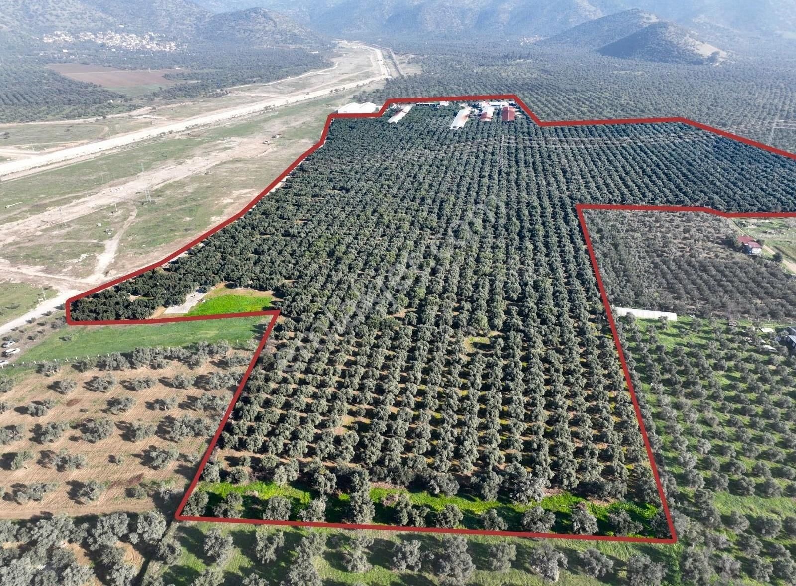 Ersoy Emlak'tan Dev Yatırım Fırsatı - Görsel 6