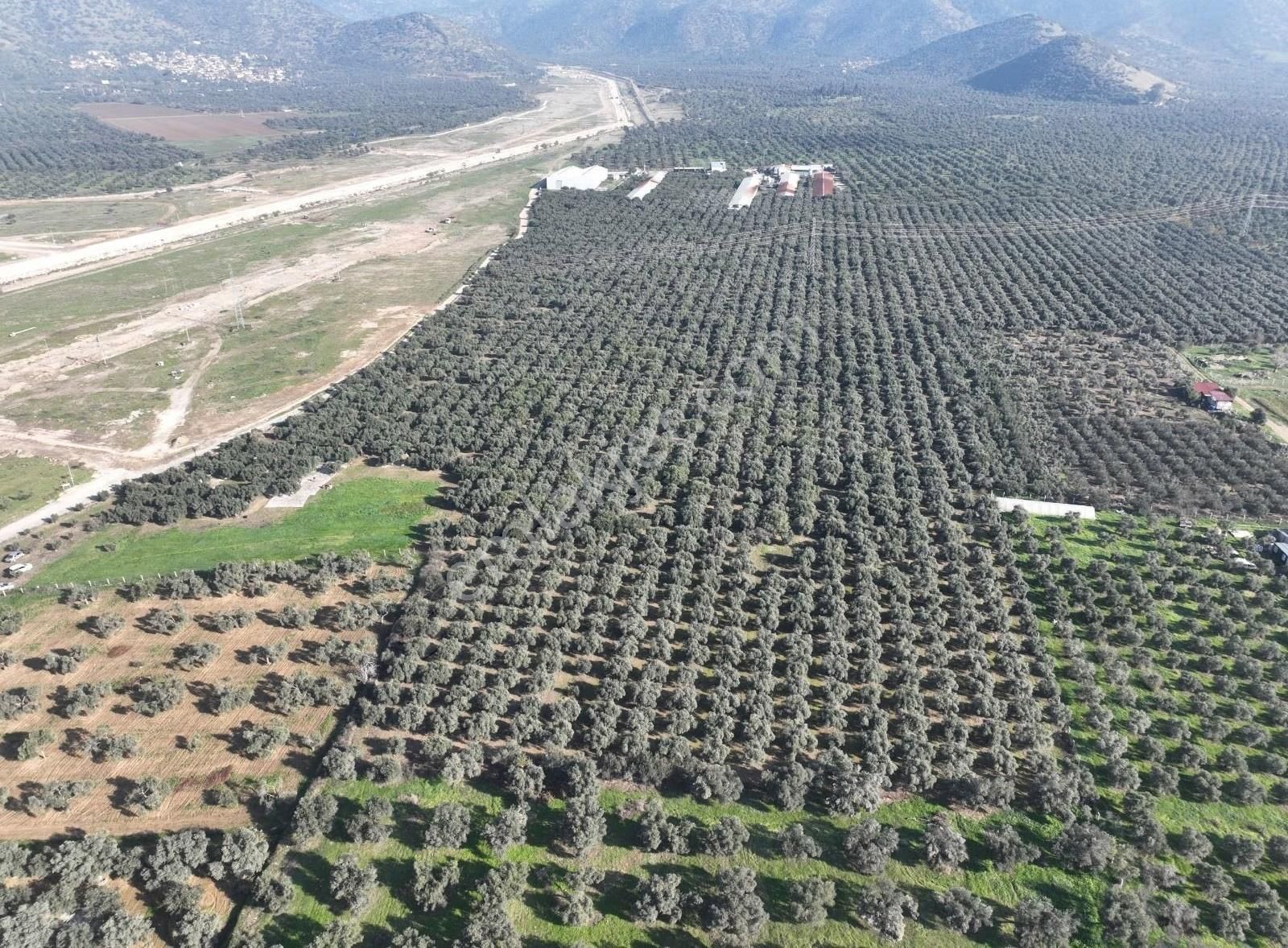 Ersoy Emlak'tan Dev Yatırım Fırsatı - Görsel 11