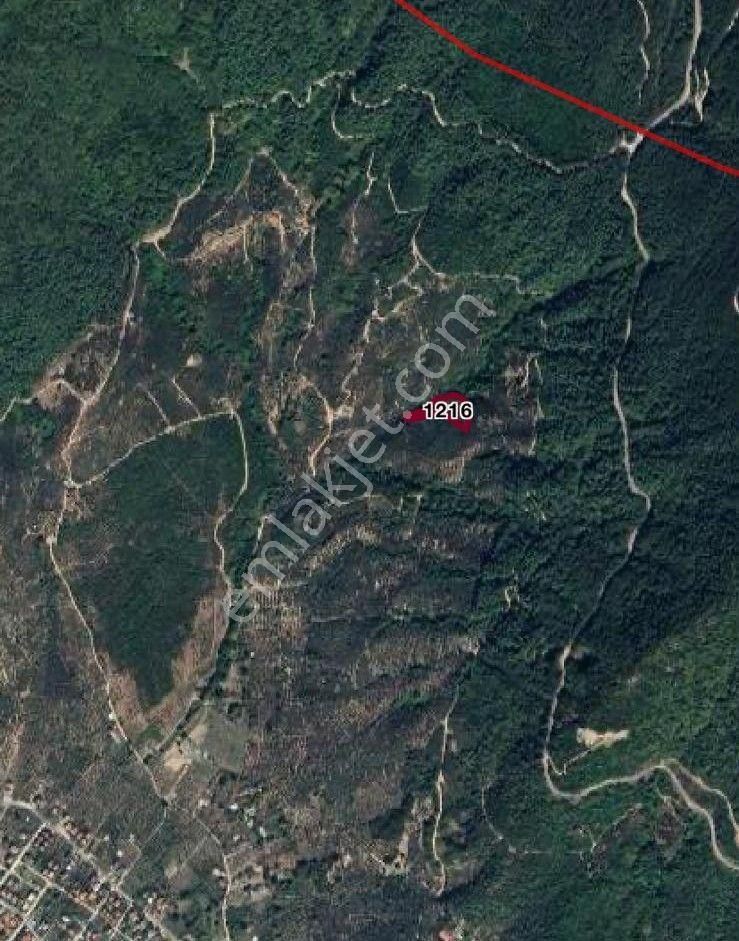 Opima Emlaktan Ocaklarda Yatırımlık Zeytinlik - Görsel 11