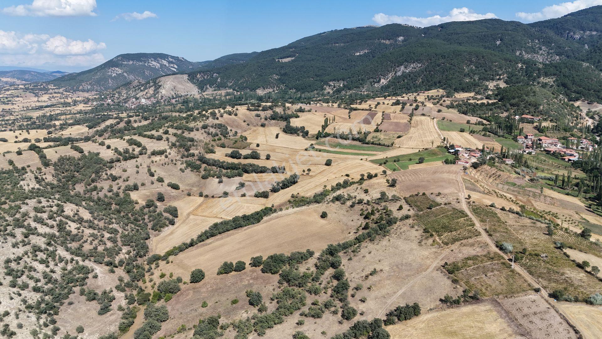 Amasya / Hamamözü / Dede Köy De 1.355 M² Müstakil Tarla - Görsel 2