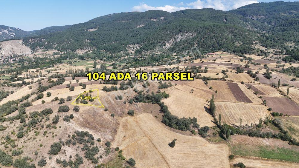 Amasya / Hamamözü / Dede Köy De 1.355 M² Müstakil Tarla