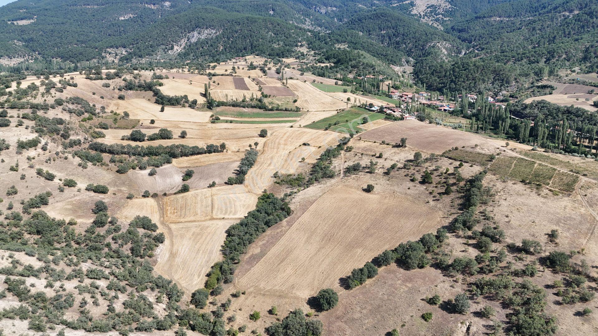 Amasya / Hamamözü / Dede Köy De 1.355 M² Müstakil Tarla - Görsel 3