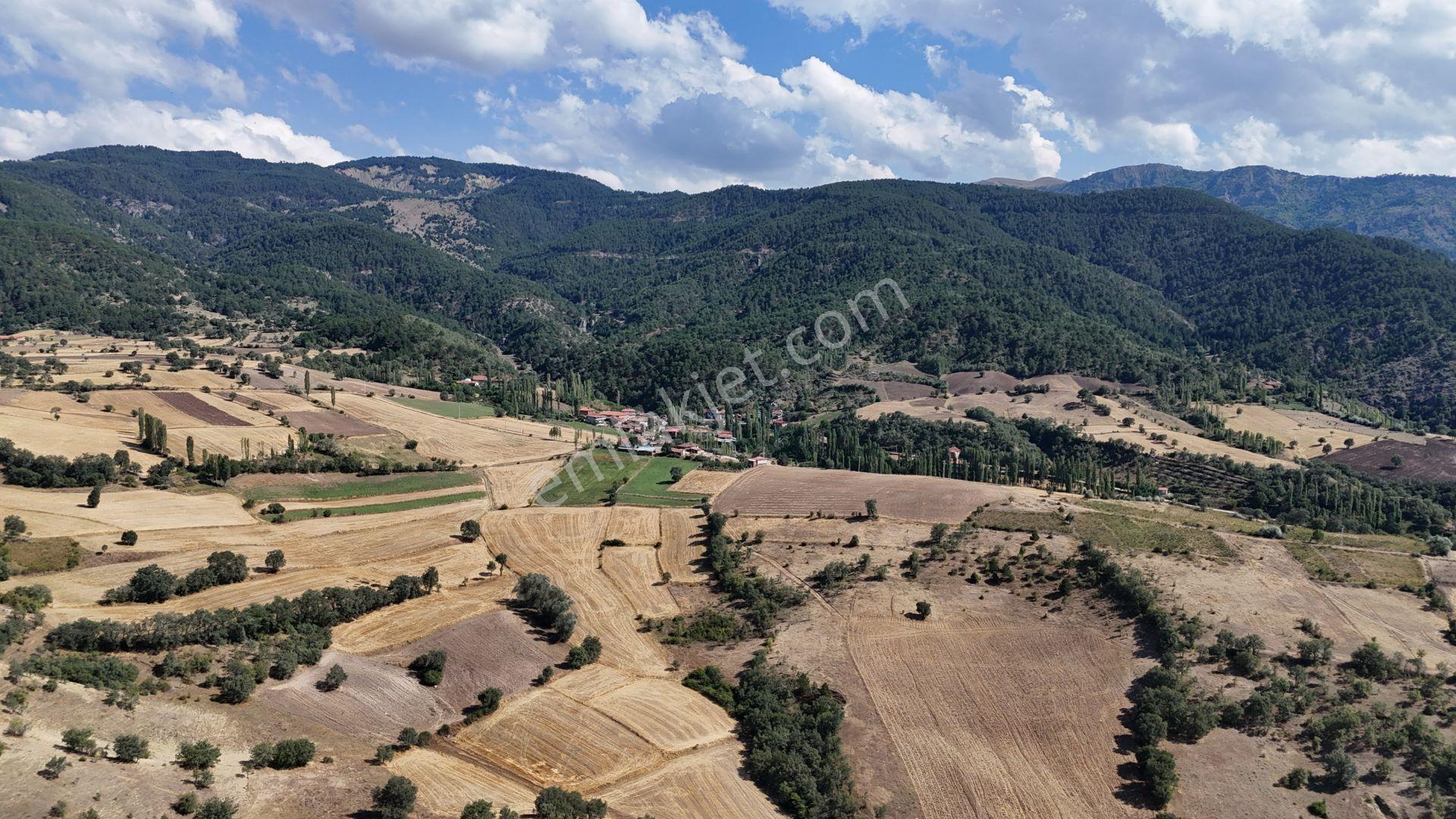 Amasya / Hamamözü / Dede Köy De 1.355 M² Müstakil Tarla - Görsel 4