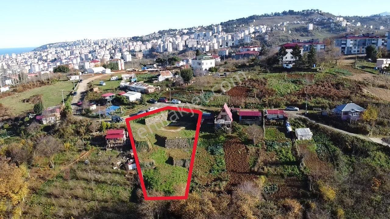Trabzonda Satılık Arsa - Görsel 25