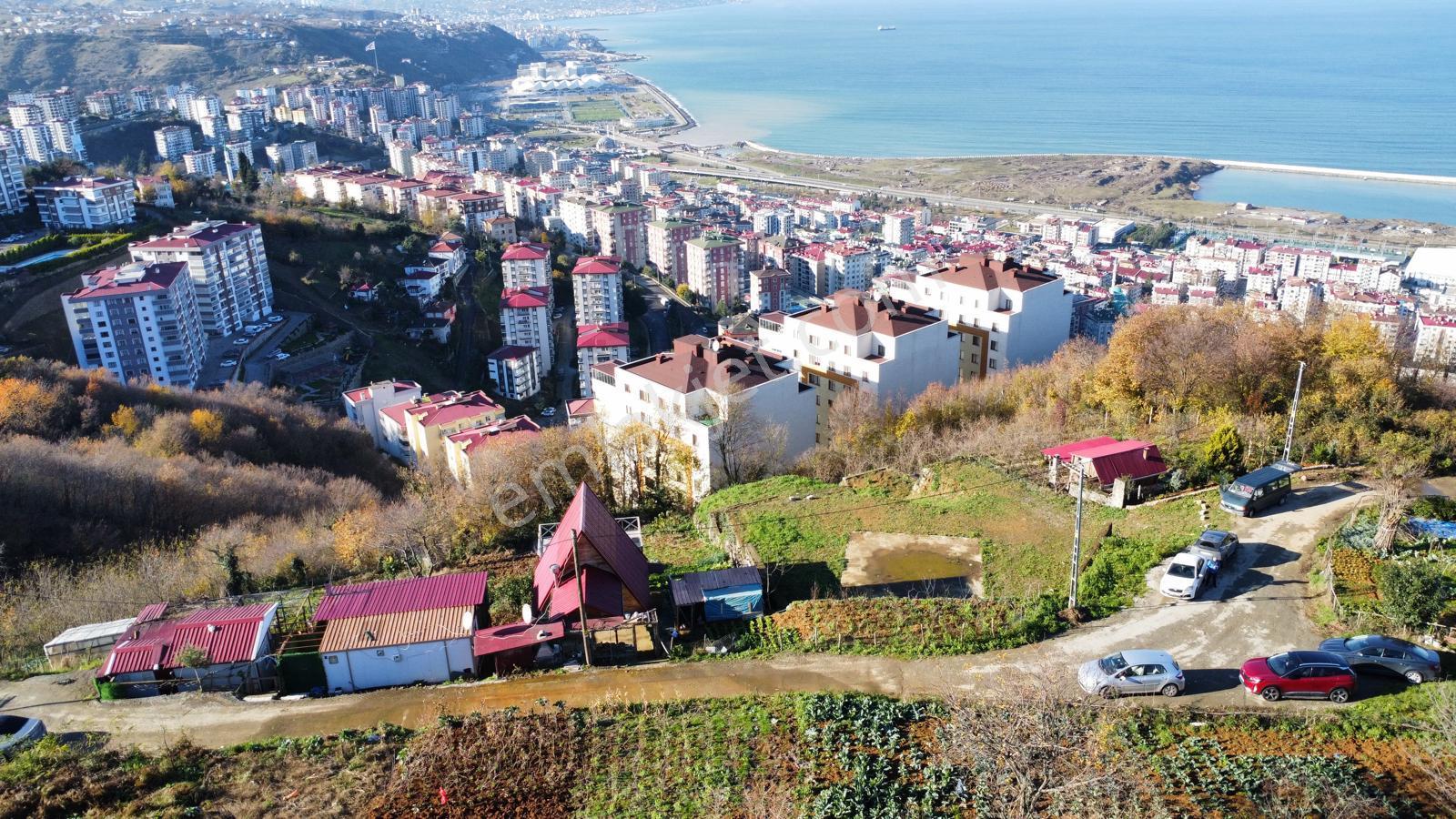 Trabzonda Satılık Arsa - Görsel 19