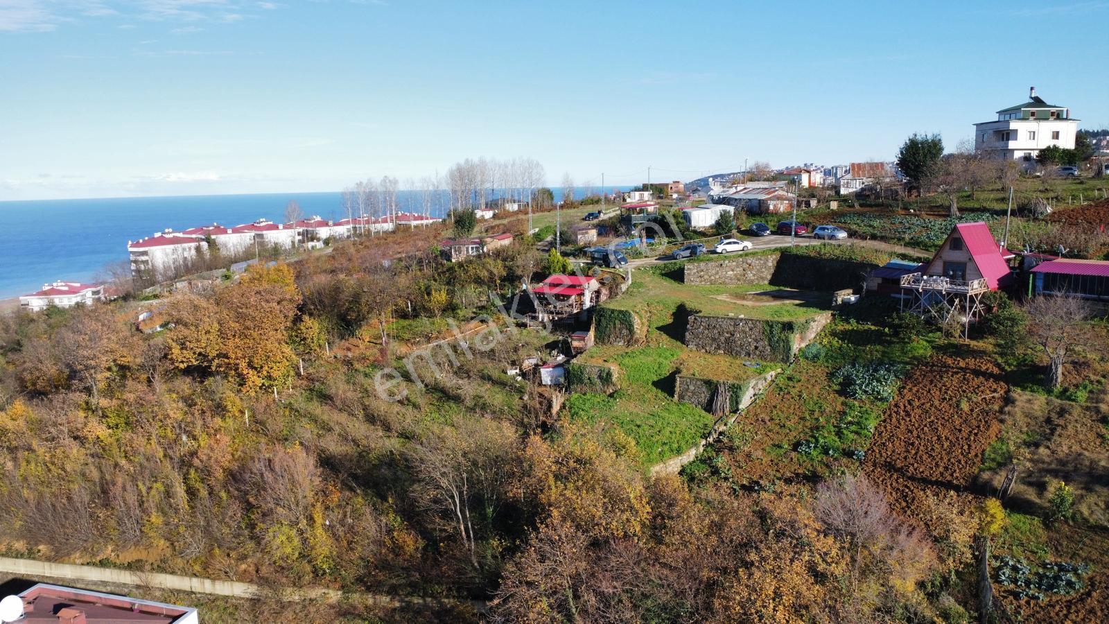 Trabzonda Satılık Arsa - Görsel 16