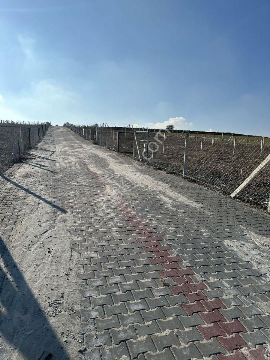 400 M2 Hisse Tapulu Elektrik Su Mevcut Hazır Bahçe - Görsel 5