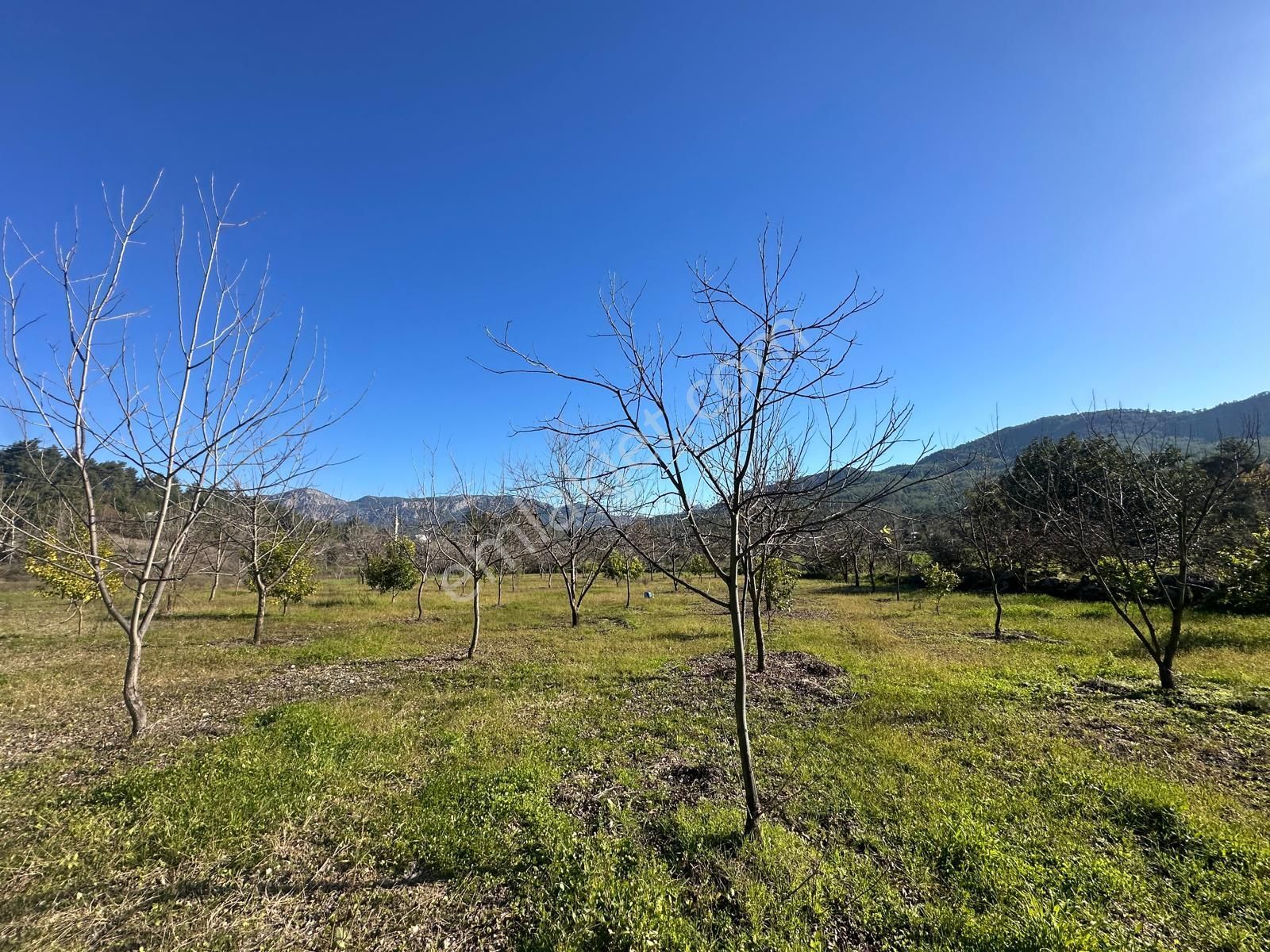 Muğla Dalaman Karaağaçta 1527 M2 İmarlı Arsa Satılık - Görsel 6