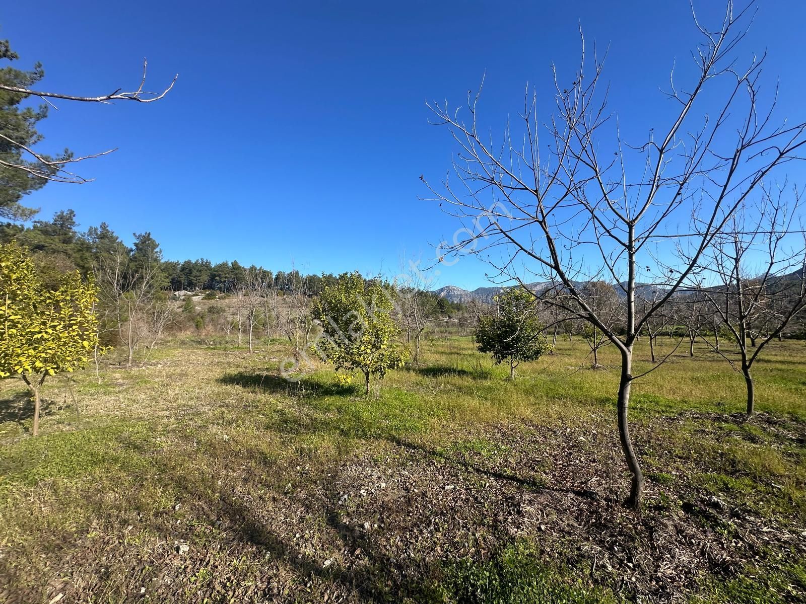 Muğla Dalaman Karaağaçta 1527 M2 İmarlı Arsa Satılık - Görsel 10