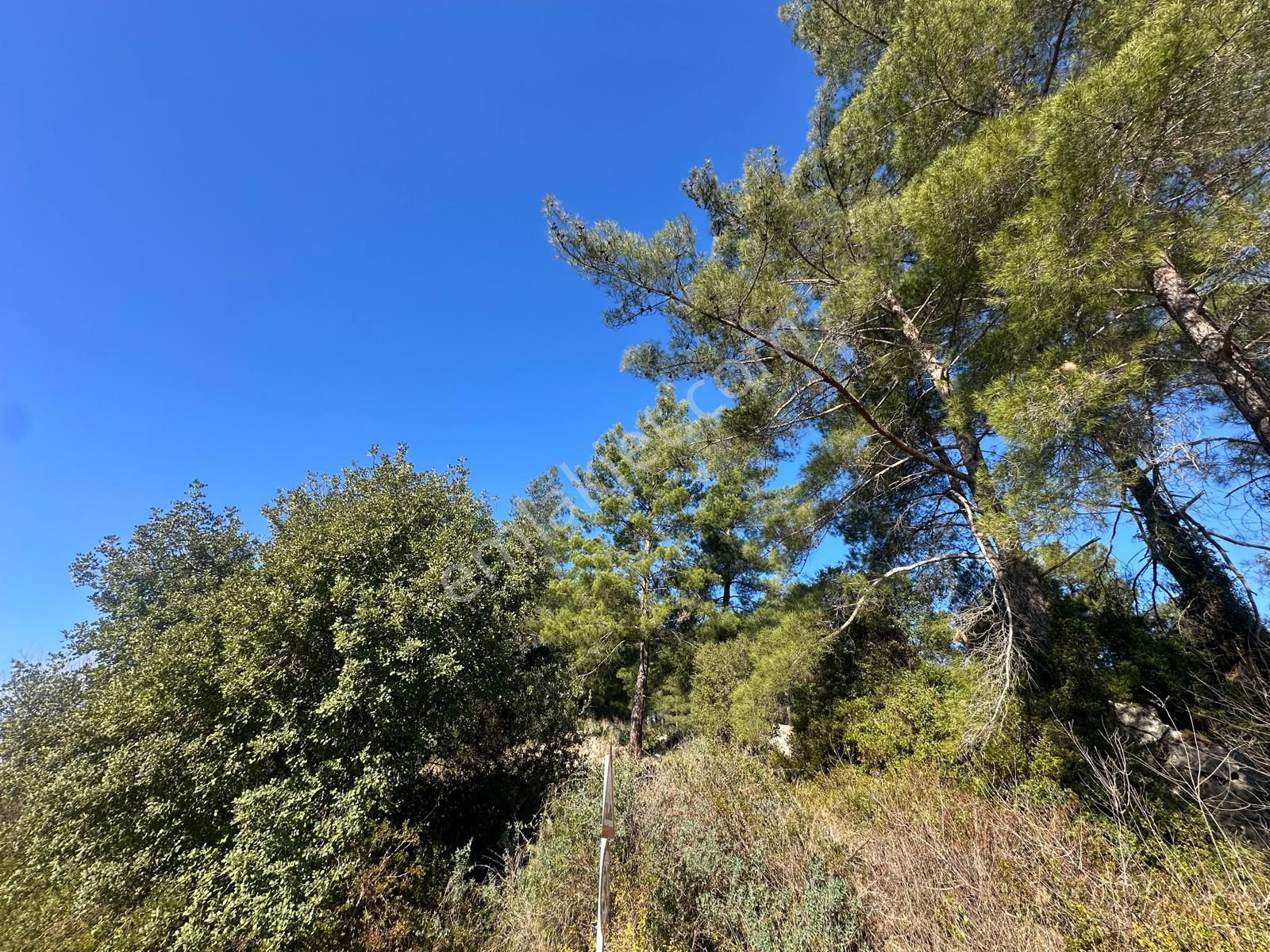 Muğla Dalaman Karaağaçta 1527 M2 İmarlı Arsa Satılık - Görsel 3